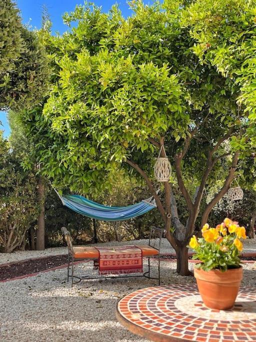 Teo Apartment Paphos Bagian luar foto